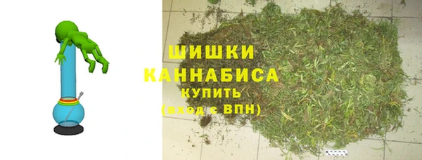индика Пестово