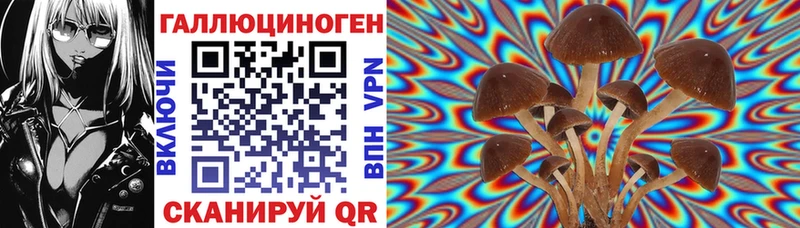 Псилоцибиновые грибы Cubensis где продают наркотики Еманжелинск